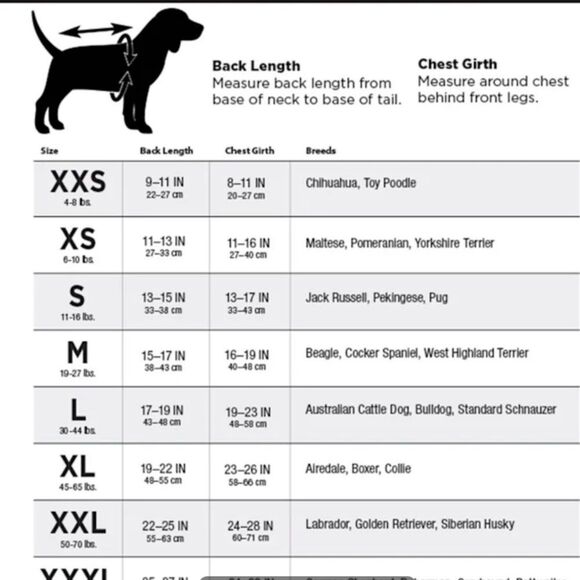 Bond & Co. Sweet Like Cotton Candy Dog Dress nwt - Picture 4 of 6